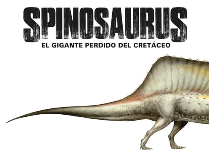 Spinosaurus: el gigante perdido del Cretáceo | spinosaurus