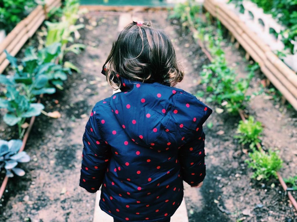 Escuelas de Pascua E.I. Ciudad Jardín Montessori
