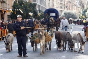 Bendición de animales por San Antonio Abad en la calle Sagunto de Valencia