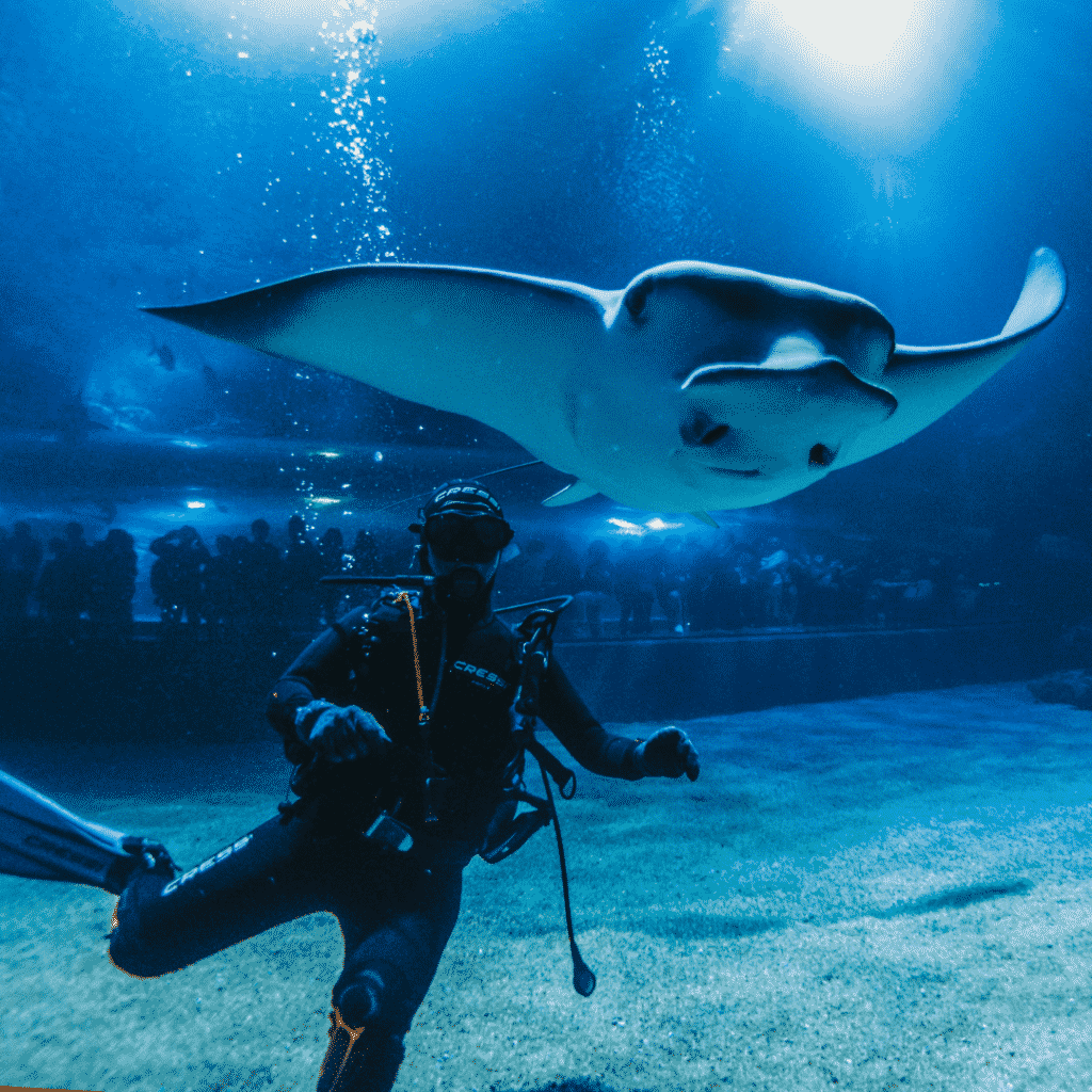 Oceanografic