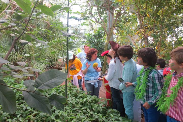 Real-Jardin-Botanico-de-Cordoba-1