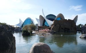 Que hacer en Valencia con niños | oceanografic valencia