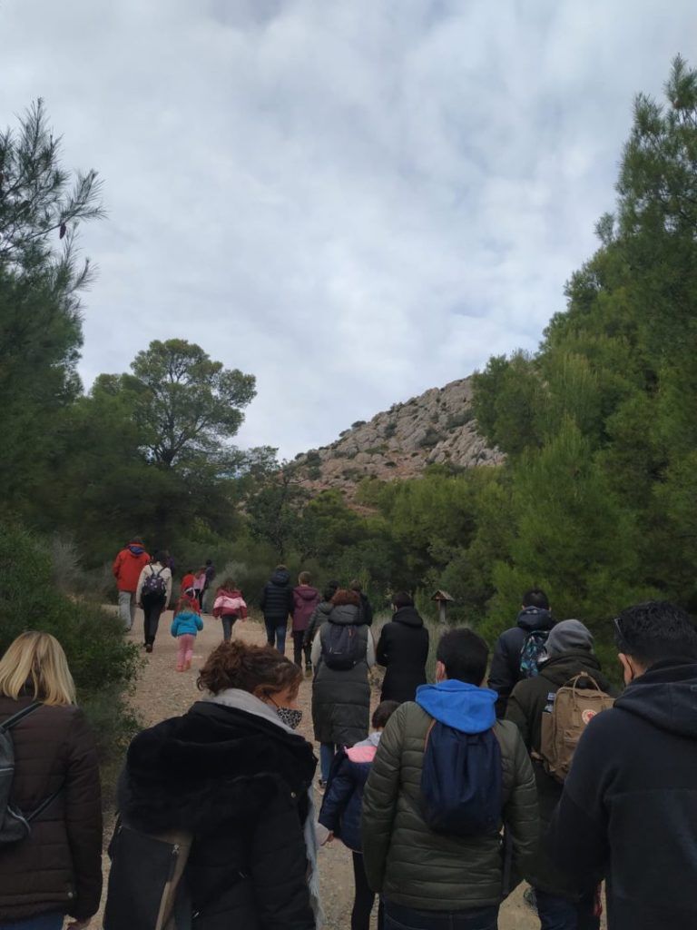 Paraje Natural de la Magdalena en Castelló | WhatsApp Image 2020 12 08 at 19.13.012