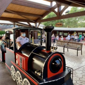Vialdea | Paseo en tren de la navidad