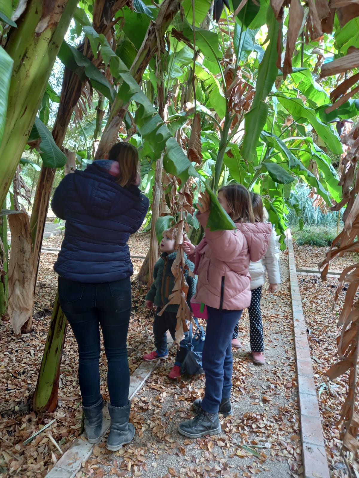 El Jardín Botánico de Valencia con niños, visita, talleres y actividades 3 Jardín Botánico de Valencia | IMG 20240102 WA0010 1