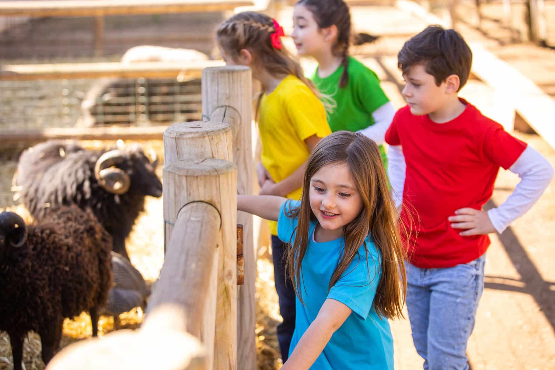 10 Granjas Para Ir Con Niños En Valencia, Madrid, Barcelona