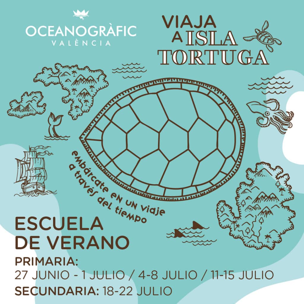 La Escuela de verano del Oceanogràfic “viaja” a Isla Tortuga