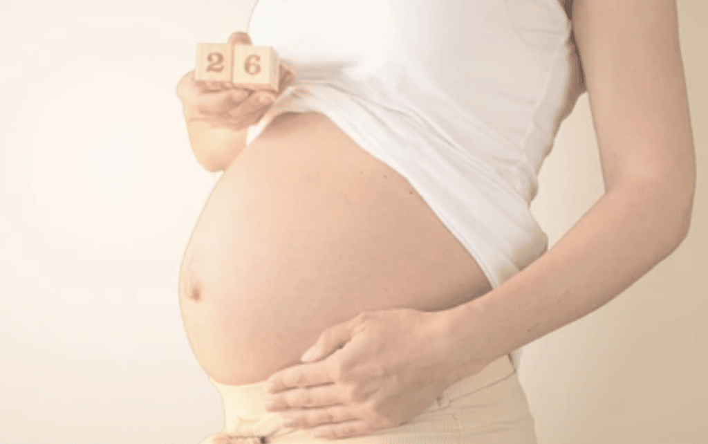 Fotos embarazo | embarazo mes a mes 1