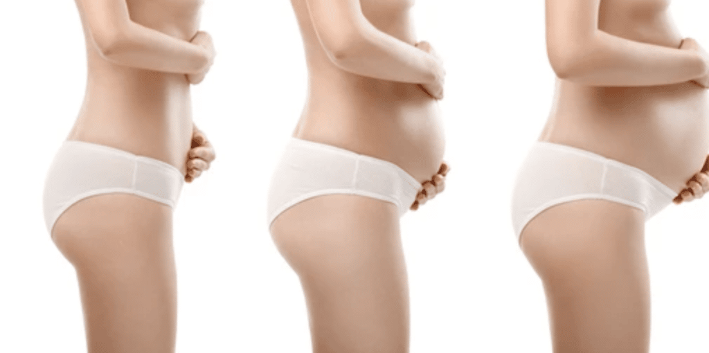 Fotos embarazo | embarazo mes a mes 3