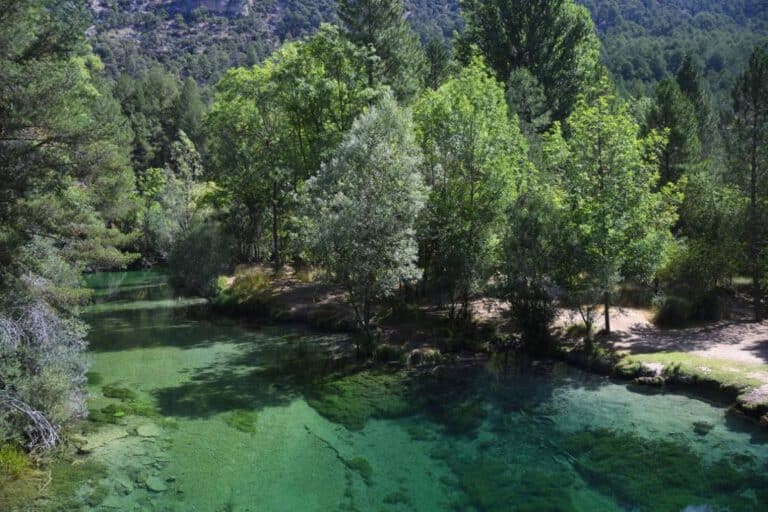 piscinas naturales en Madrid | piscina natural madrid
