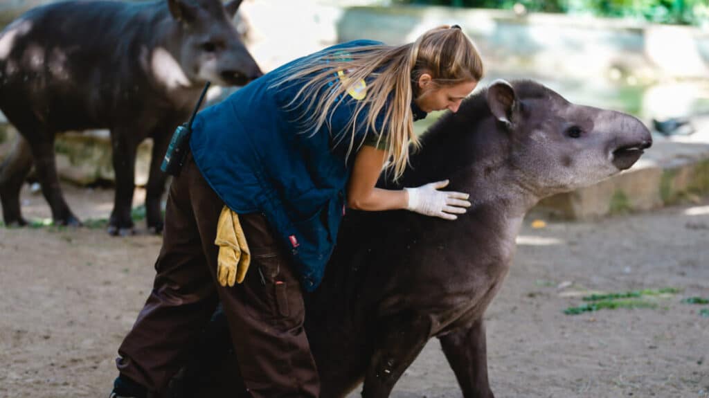 zoo barcelona