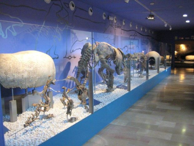 Museo de Ciencias Naturales de Valencia
