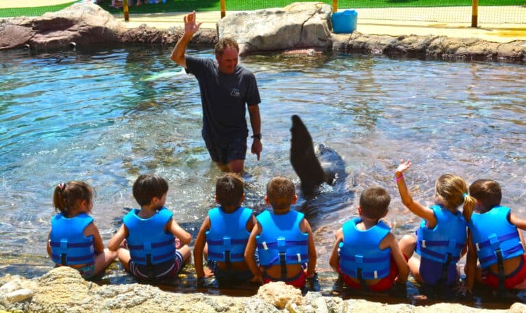 Aqua Natura Benidorm con niños: piscinas, toboganes, precios y pase combinado 9 terra natura y aqua natura