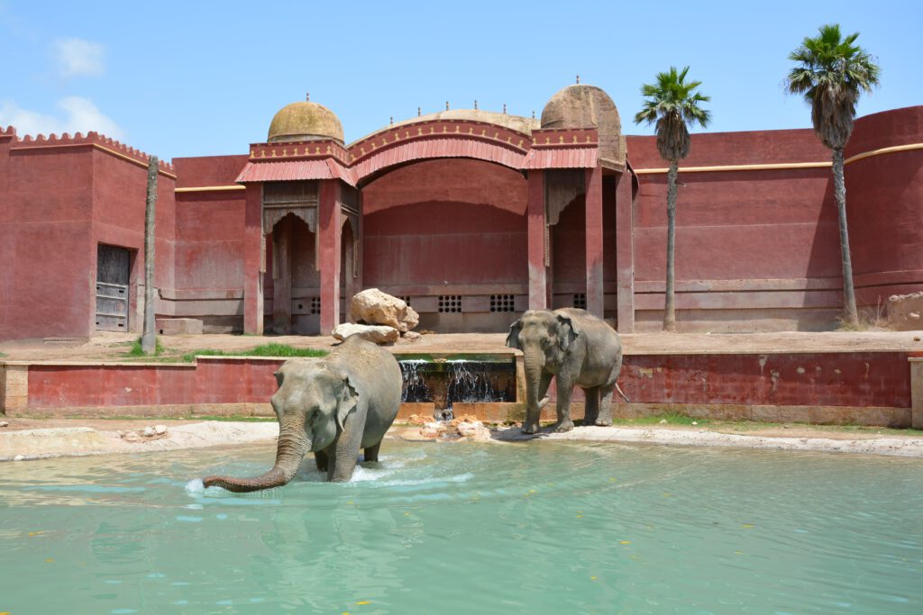 Parque Terra Natura Benidorm 