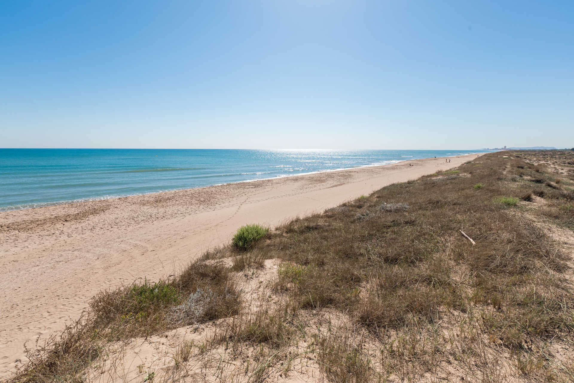 Ruta en bici de Valencia a El Saler con niños, todo lo que necesitas saber 3 Playa del Saler