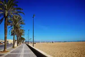 Planes gratis en Valencia