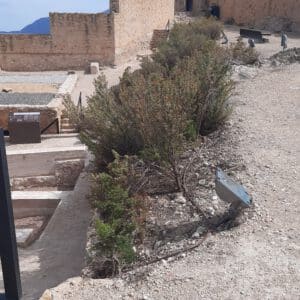 Ruta de los Castillos del Vinalopó. Castillo de Castalla