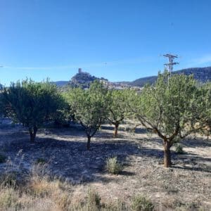 Castillos de Alicante | Castillo biar exteriores