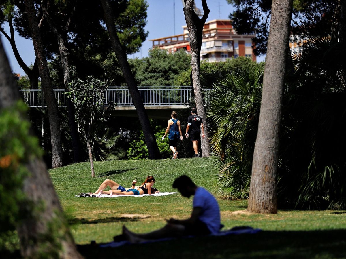 Jardín del Turia