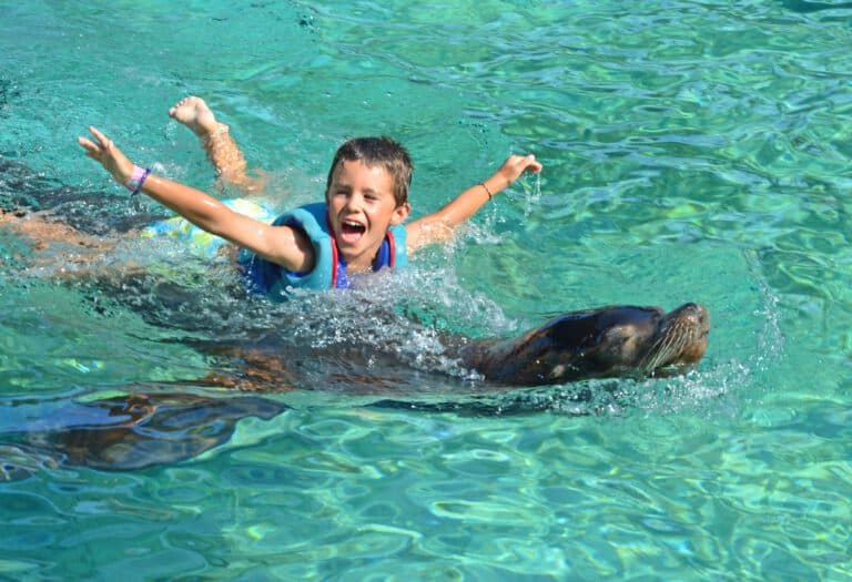 Aqua Natura Benidorm con niños: piscinas, toboganes, precios y pase combinado 6 Terra Natura Benidorm y Aqua Natura Benidorm
