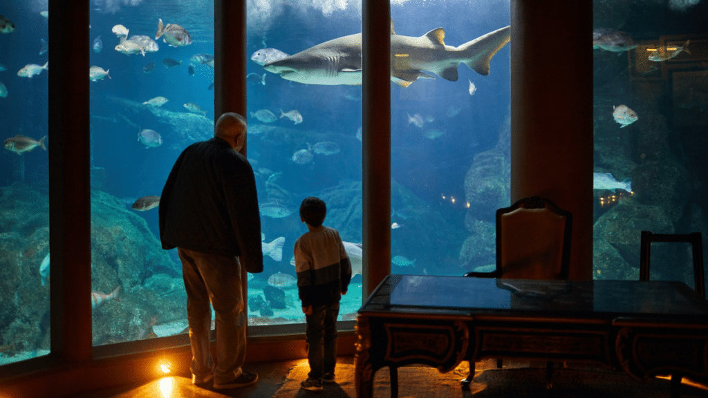 Coruña con niños. Acuario Finisterre