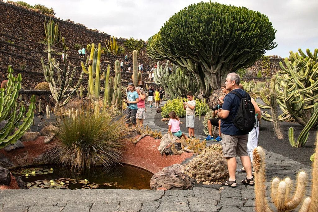 Jardín de cactus Lanzarote con niños