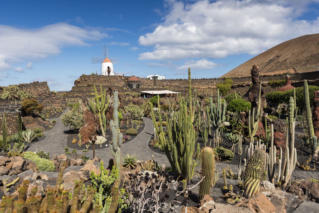 Jardín de Cactus. Lanzarote con niños