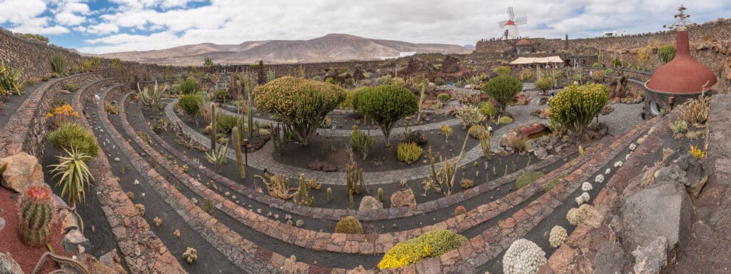 Lanzarote con niños. Jardín de Cactus