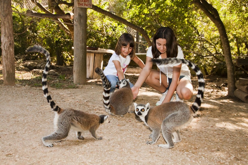 Menorca con niños. Mini zoo El Lloc