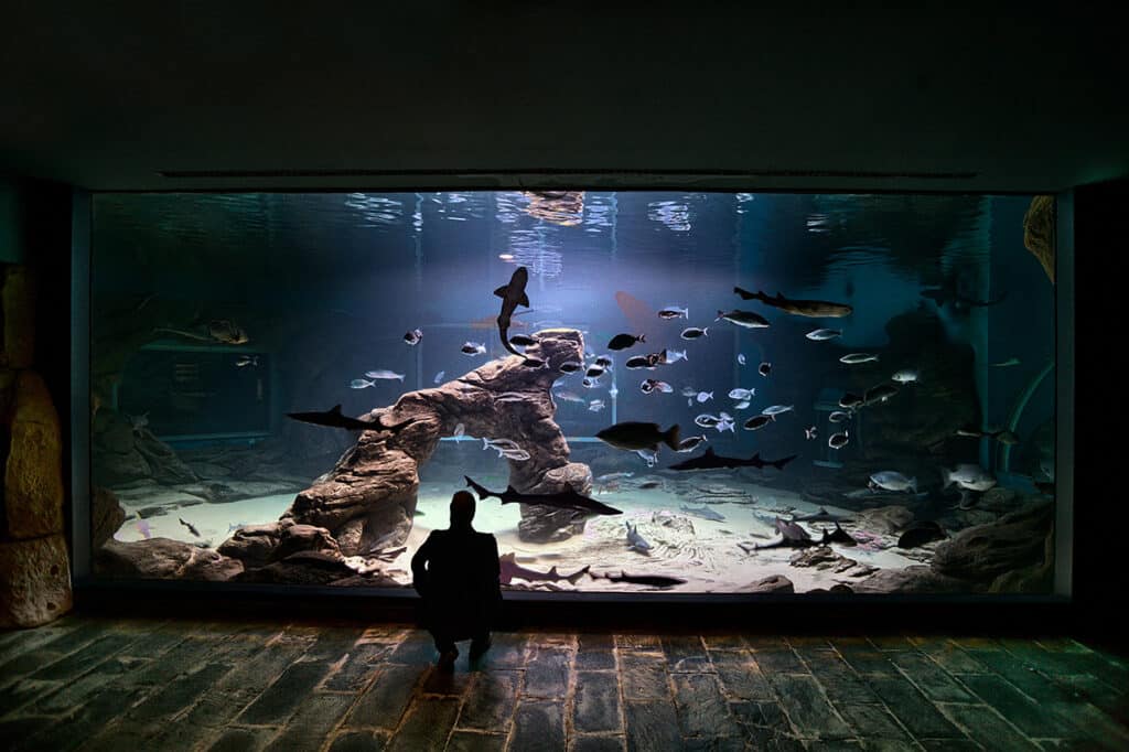 Museo Marítimo del Cantábrico - Santander con niños