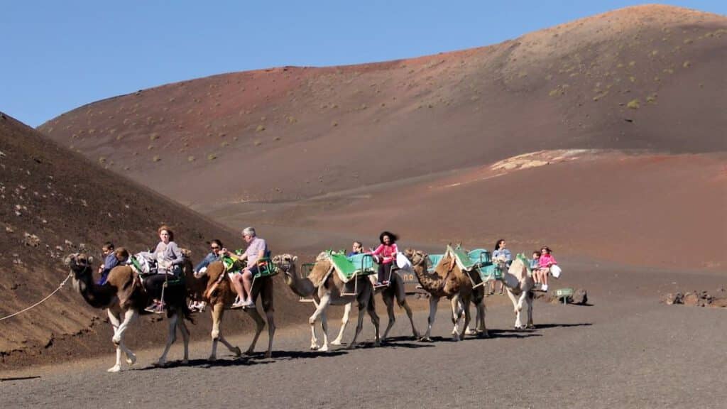 Qué hacer en Lanzarote con niños