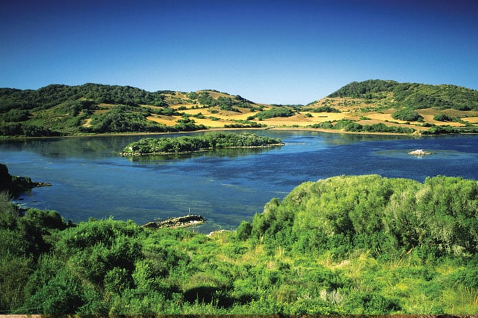 Sa Albufera des Grau