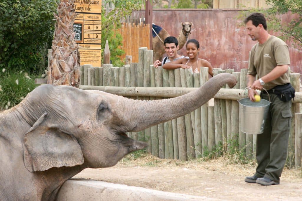 Benidorm con niños. Terra Natura