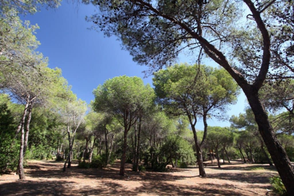 Marbella con niños. Parque de Nagüeles