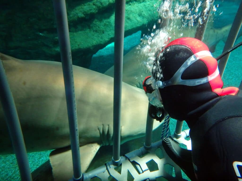 Roquetas de Mar con niños. Acuario