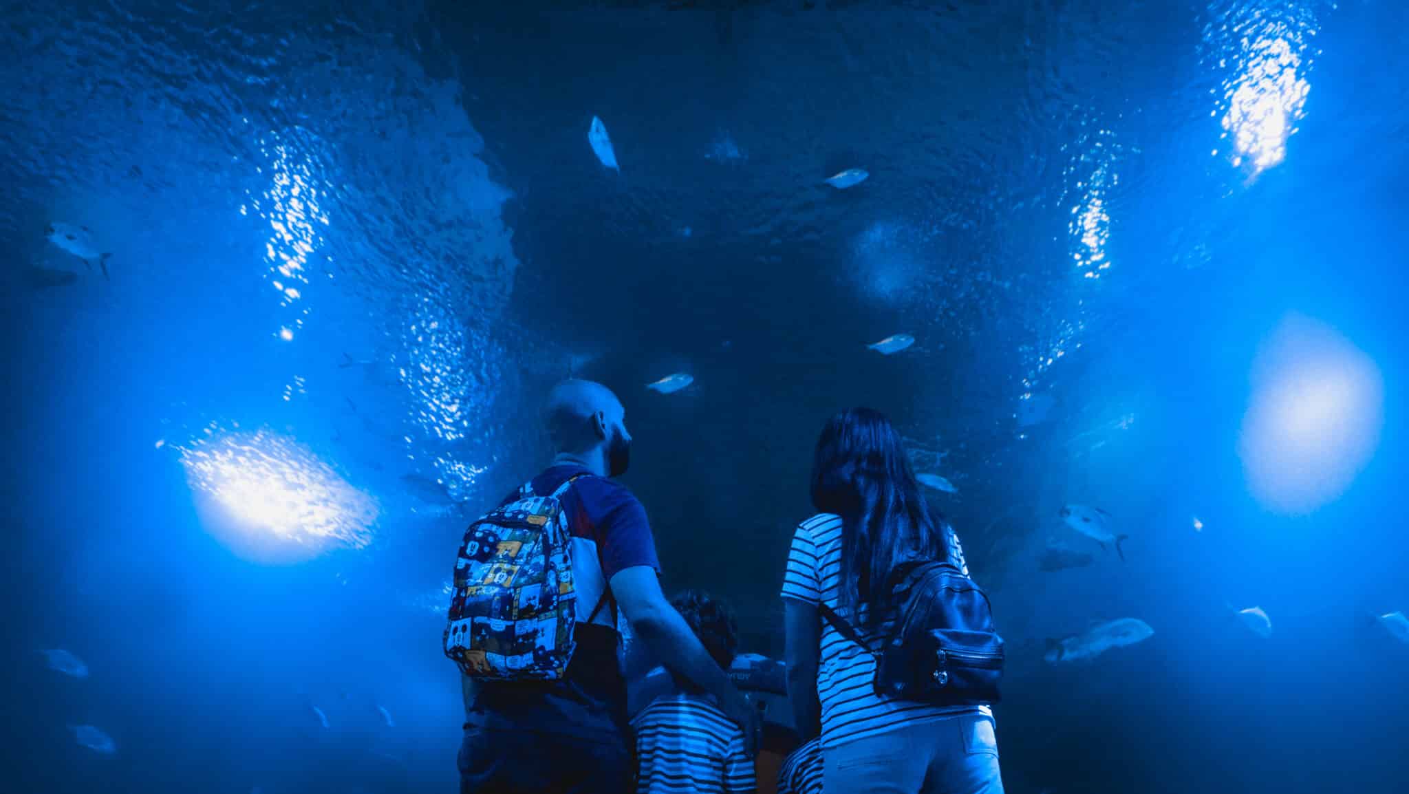 Oceanografic de Valencia