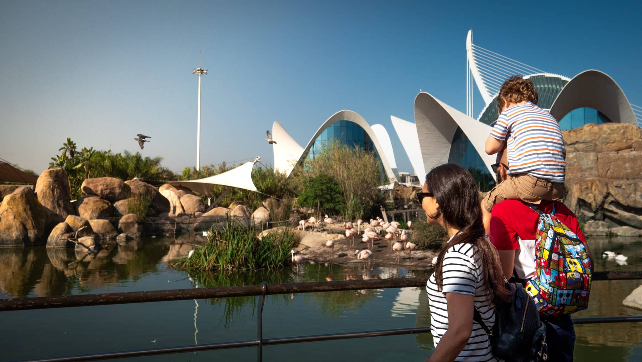 Oceanografic de Valencia