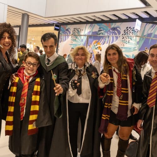 Harry Potter™en Arena