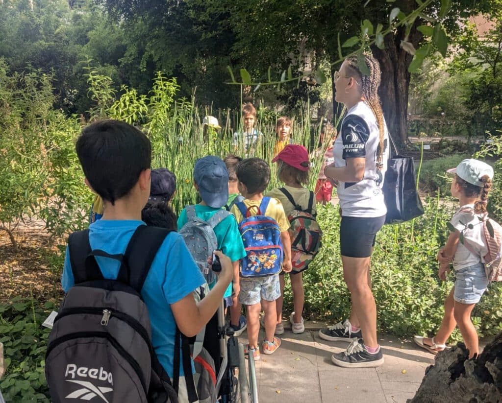 Campamentos en Valencia en agosto | Escuela verano jardin botanico