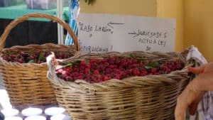 Feria de la Cereza de Cudiel