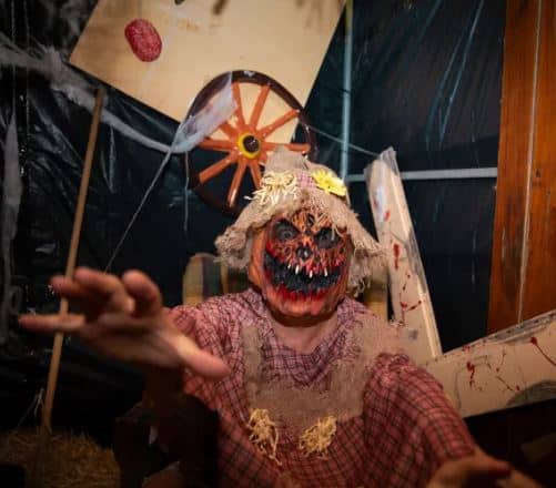 LA MARINA HALLOWEEN