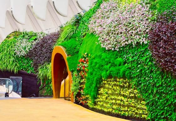 JARDIN VERTICAL