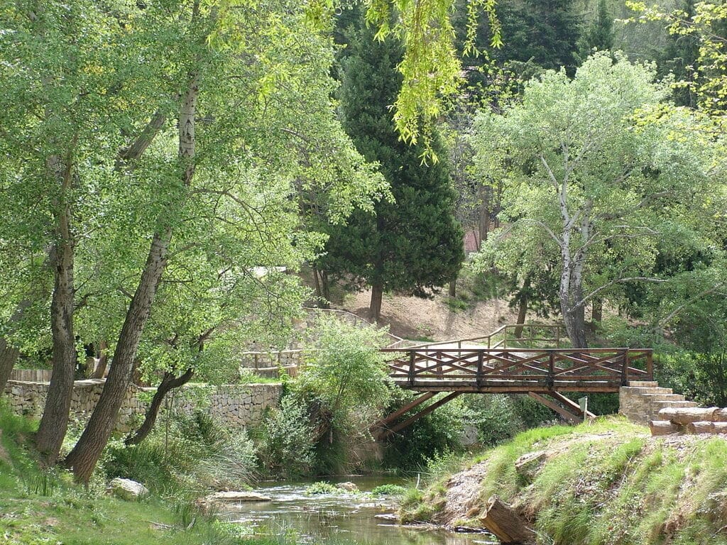 El merendero del Azud de Tuéjar, un plan perfecto para ir con niños 2 El merendero de Azud en Tuéjar | Azud tuejar