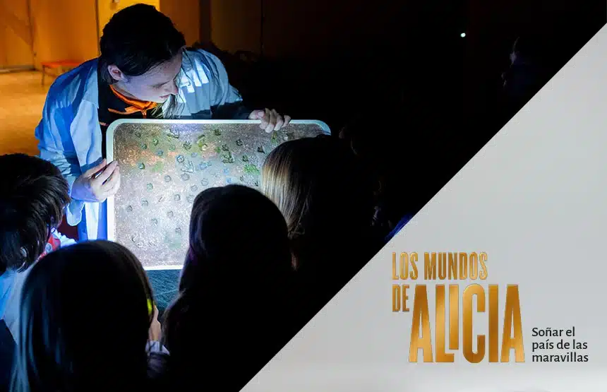 Exposiciones para niños y familias en CaixaForum València, con visitas-taller 6 CaixaForum València | A CC 05720 0004 PF spa
