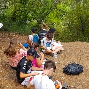 Campamentos de verano bilingües Fluency 2026: una aventura para cada edad 7 Campamentos de verano bilingües | Bear 3