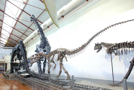 Museo Nacional de Ciencias Naturales