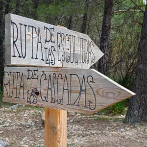 Campamentos de verano bilingües Fluency 2026: una aventura para cada edad 3 Campamentos de verano bilingües | Ruta Frog