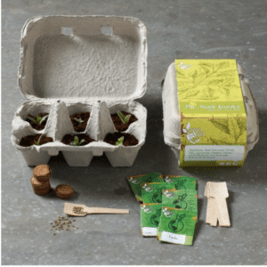 Un pequeño jardín en casa 3 jardín en casa | seed starting kit 2 434x433 1