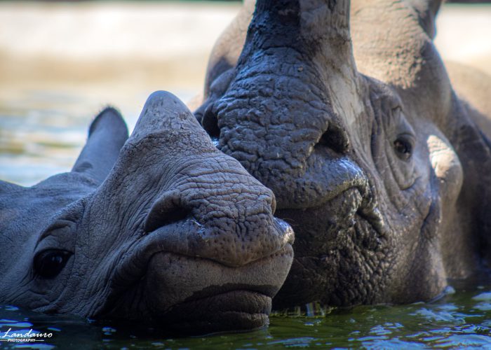 Terra Natura