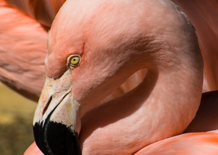 Terra Natura